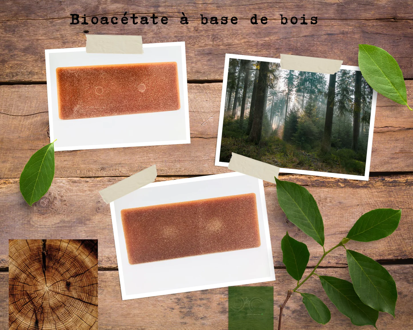 photo de bio acétate français