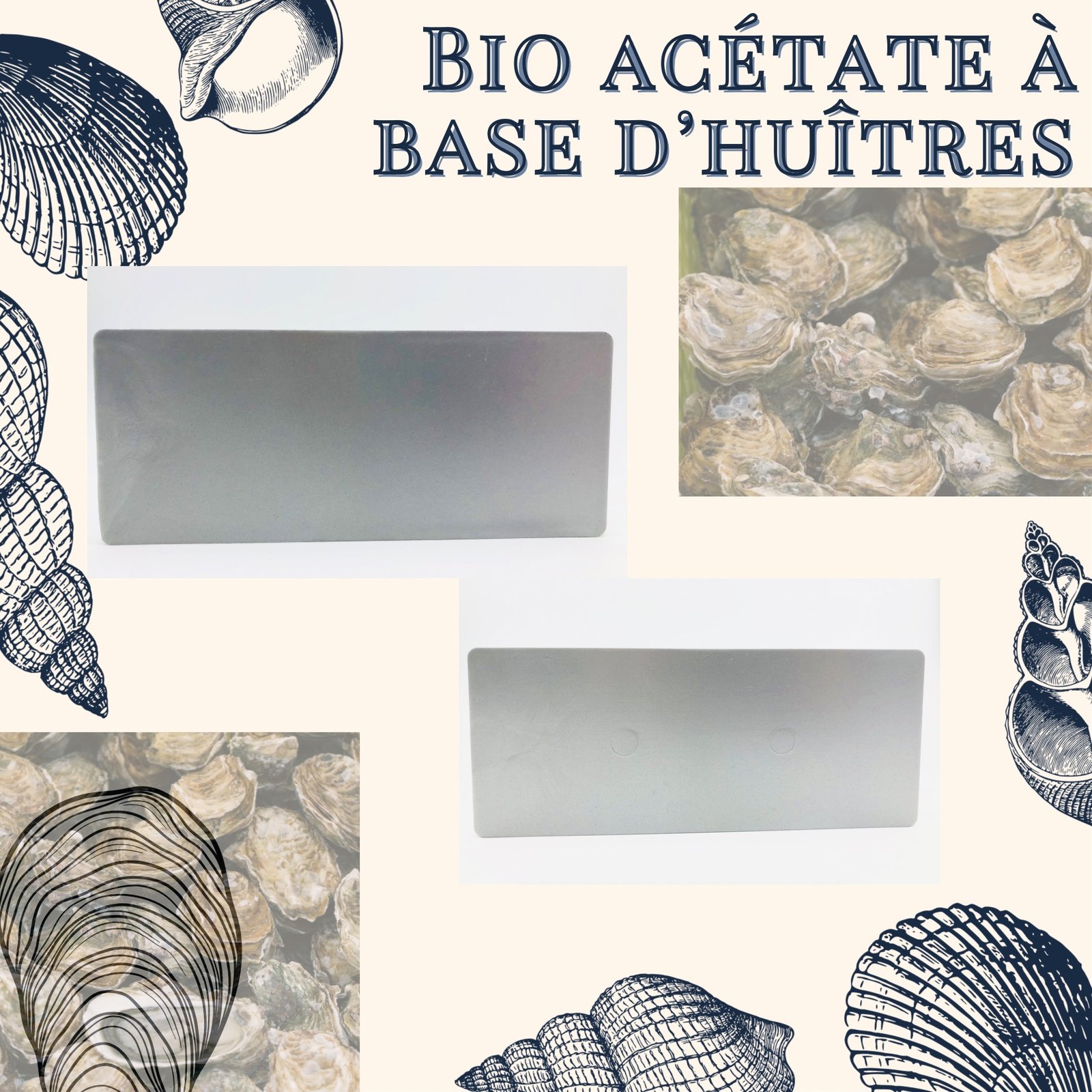 bio acétate made in france coquillage ormeau